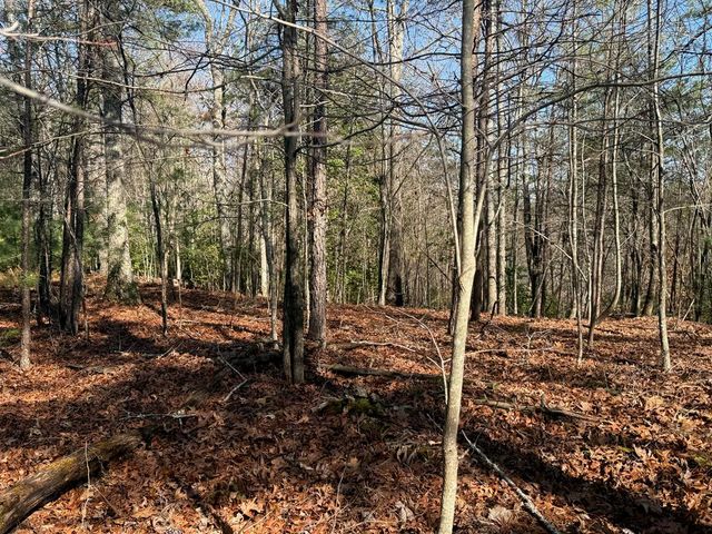 Lot 3 Willow Ridge, Warne, NC 28909