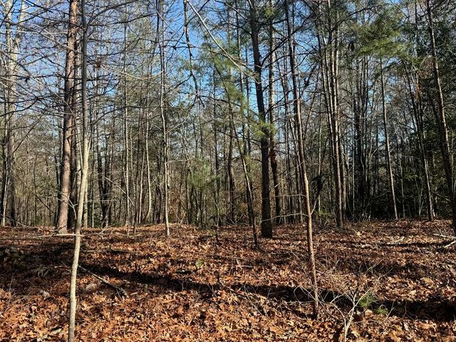 Lot 3 Willow Ridge, Warne, NC 28909