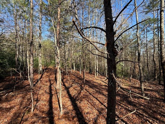Lot 3 Willow Ridge, Warne, NC 28909