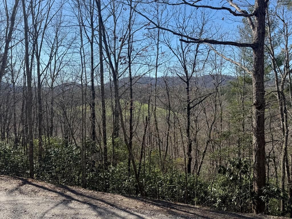Lot 3 Willow Ridge, Warne, NC 28909