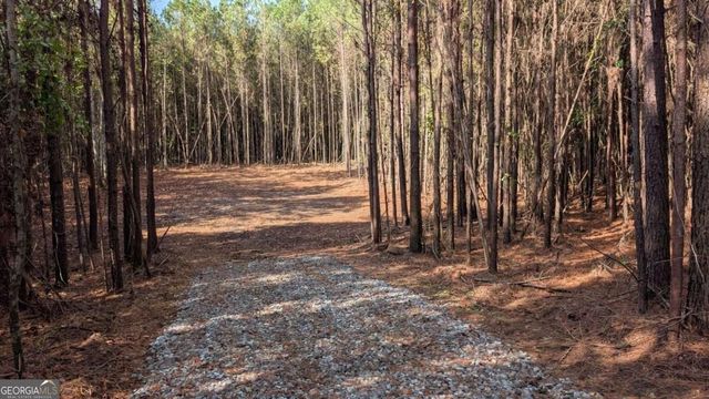 2446 Soap Creek Rd, Ball Ground, GA 30107