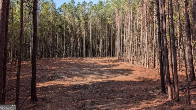 2446 Soap Creek Rd, Ball Ground, GA 30107