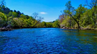 00 Toccoa River Forest, Mineral Bluff, GA 30559