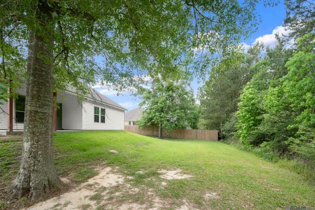 29985 Bram Street, Livingston, LA 70754
