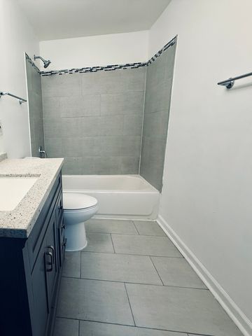 11725 S Morgan Street, Chicago, IL 60643