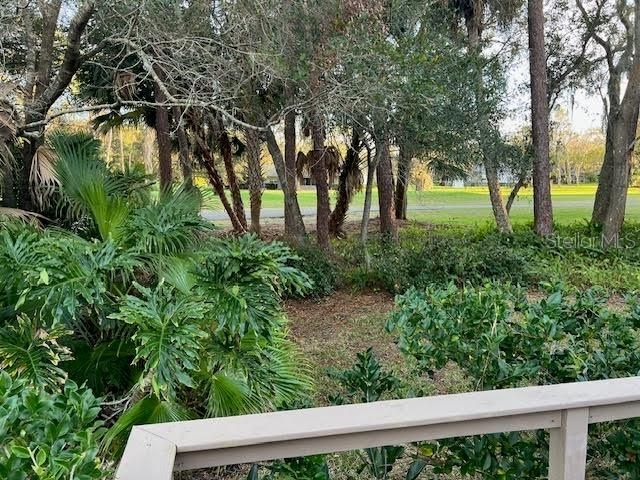 10 WOODRIDGE CIRCLE, Oldsmar, FL 34677