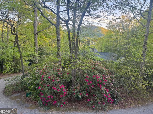 63 Mashie Lane, Sky Valley, GA 30537