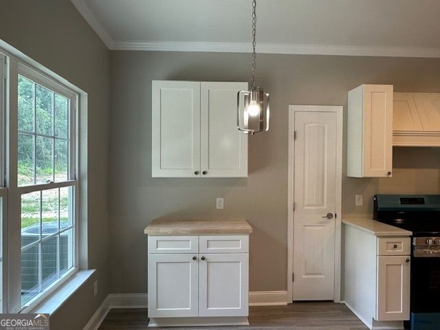 211 Camelia Drive, Sylvania, GA 30467