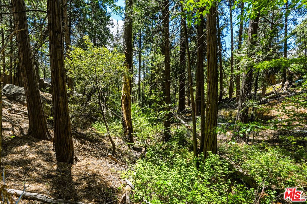 Image 58 of property listing at 55000 Daryll Road, Idyllwild, CA 92549