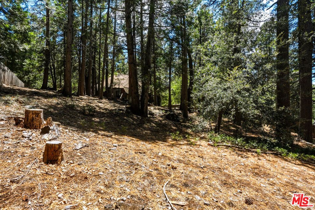 Image 59 of property listing at 55000 Daryll Road, Idyllwild, CA 92549