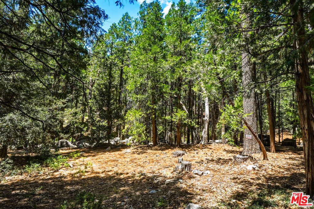 Image 60 of property listing at 55000 Daryll Road, Idyllwild, CA 92549