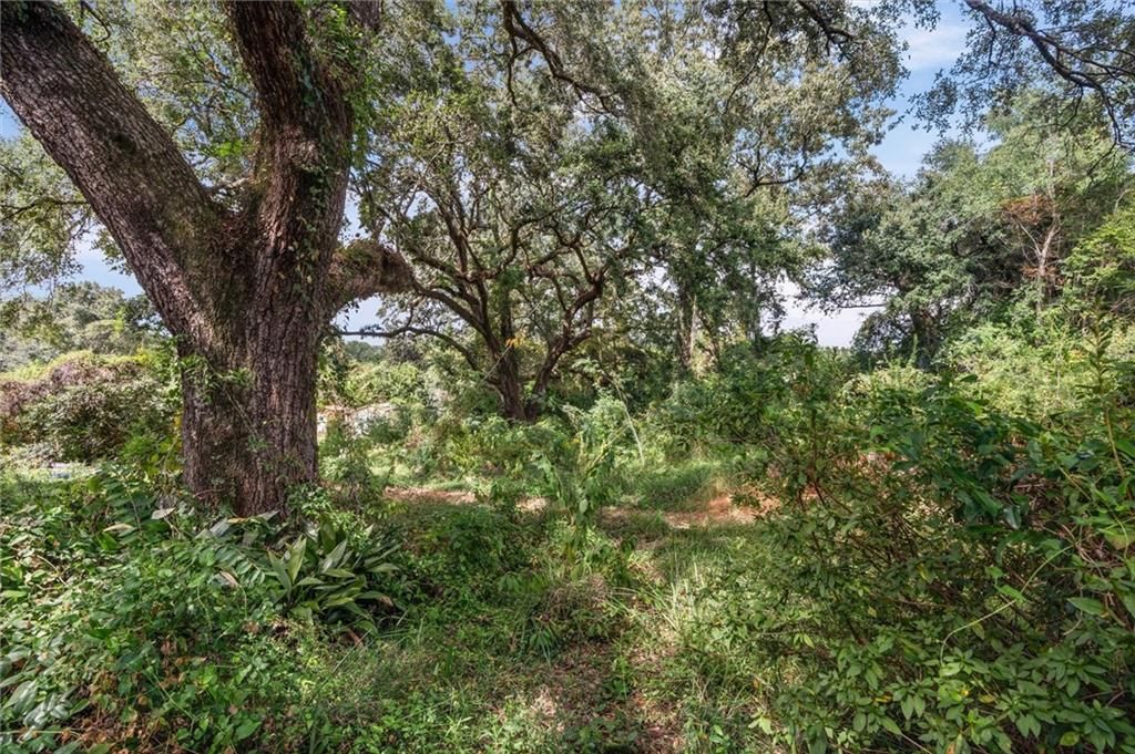1247 Arcturus Lane, Mobile, AL 36693 — photo 3