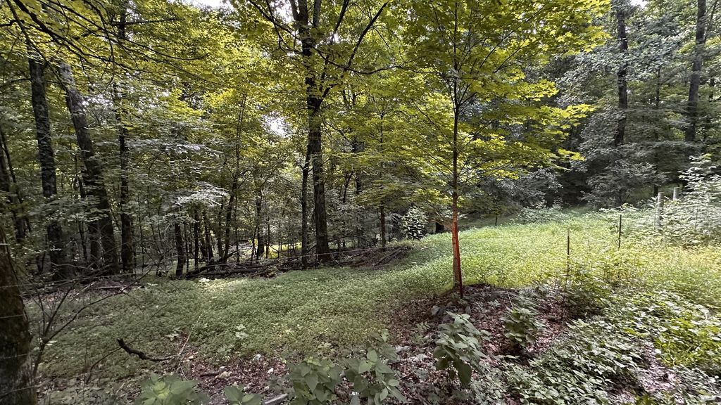 0 Poor Grab Rd, Petersburg, TN 37144