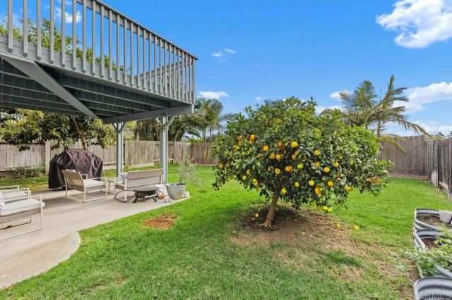 6705 Antilope Street, Carlsbad, CA 92009