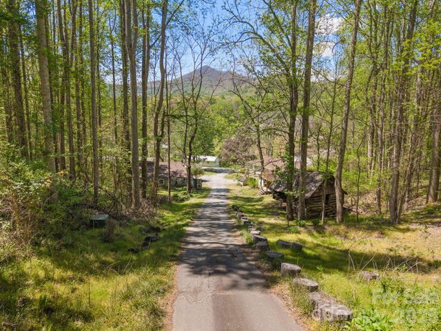 290 Hookers Gap Road, Candler, NC 28715