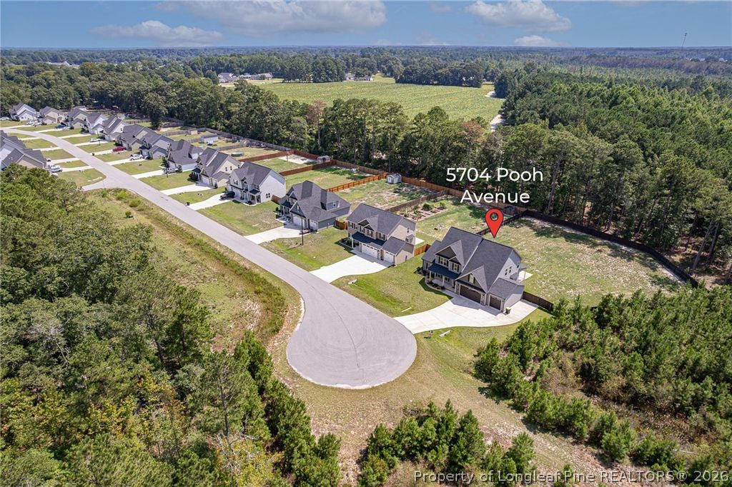 5704 Pooh Avenue, Stedman, NC 28391 — photo 3