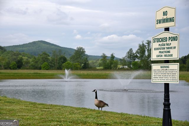 435 Golden Nugget Road, Blairsville, GA 30512