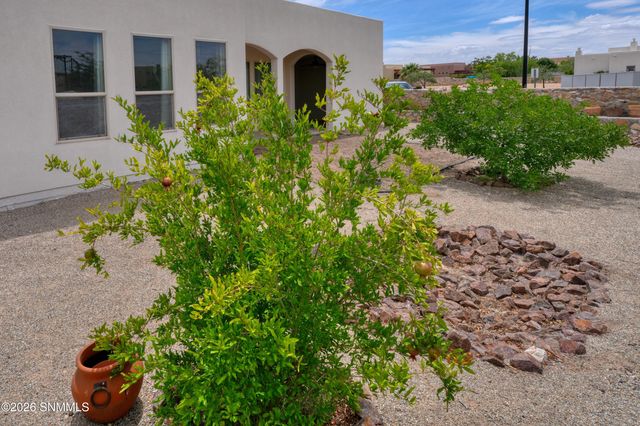 4309 Calle Sonesta Arc, Las Cruces, NM 88011