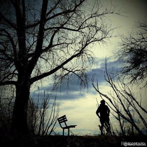 10115 W 25th Avenue 1, Lakewood, CO 80215