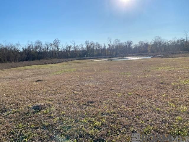 8557 New River Rd, St Amant, LA 70774