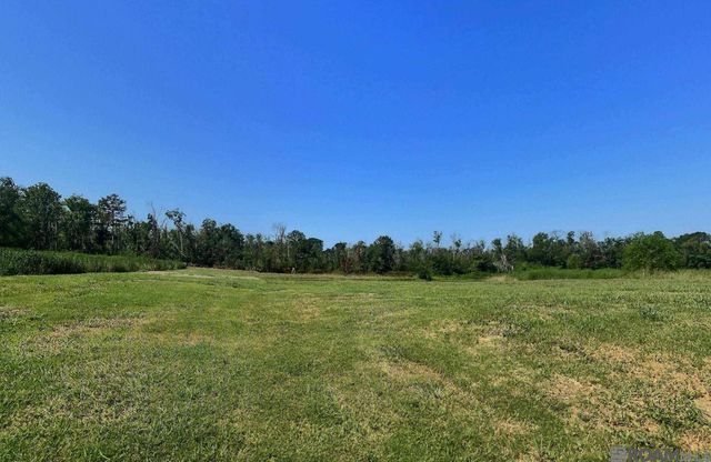 8557 New River Rd, St Amant, LA 70774