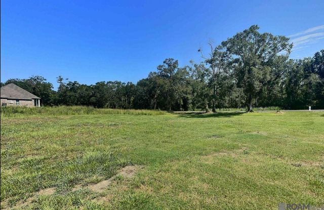 8557 New River Rd, St Amant, LA 70774