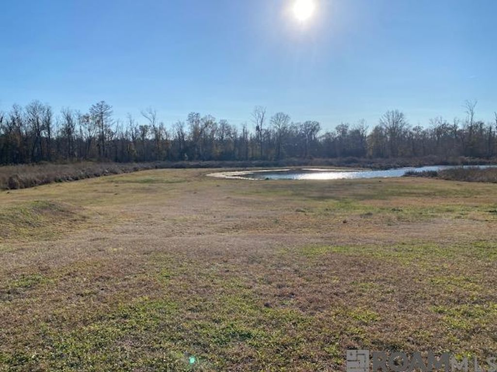 8557 New River Rd, St Amant, LA 70774