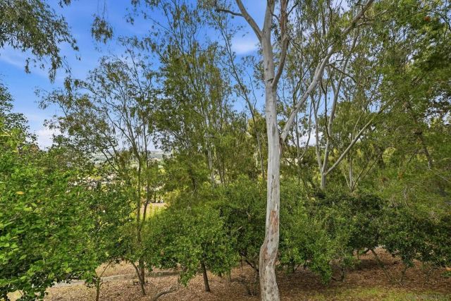 6540 Corte Valdez, Carlsbad, CA 92009