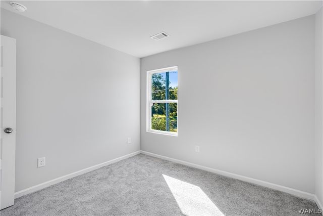16547 Osceloa, Tuscaloosa, AL 35474