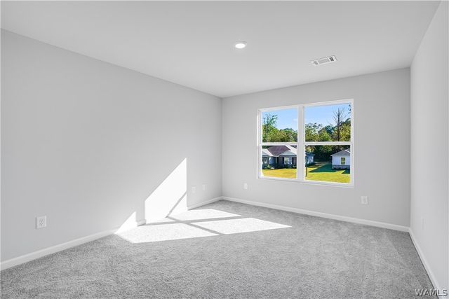 16547 Osceloa, Tuscaloosa, AL 35474