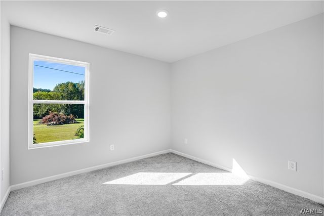 16547 Osceloa, Tuscaloosa, AL 35474