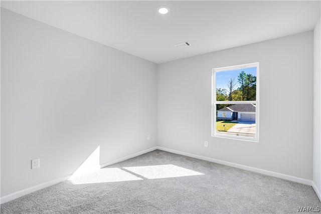 16547 Osceloa, Tuscaloosa, AL 35474