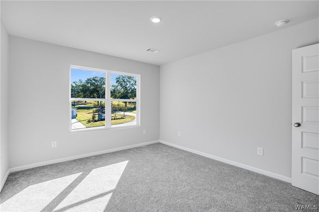 16547 Osceloa, Tuscaloosa, AL 35474