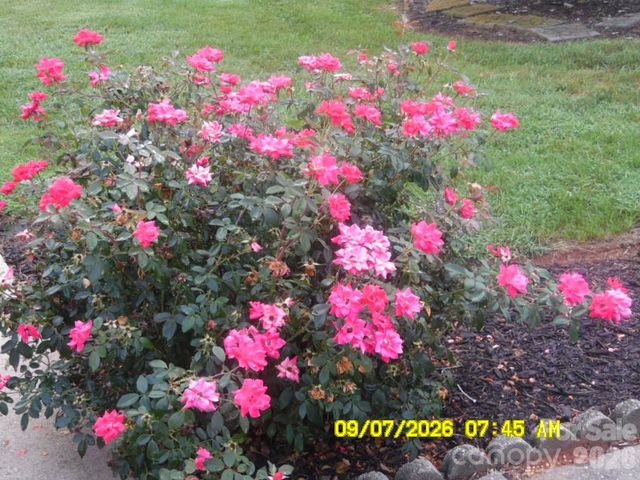 2525 Teague Street, Lincolnton, NC 28092