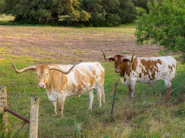 402 Rolling Hills RD, Liberty Hill, TX 78642