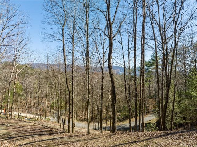 0 Chicasaw Drive, Ellijay, GA 30540