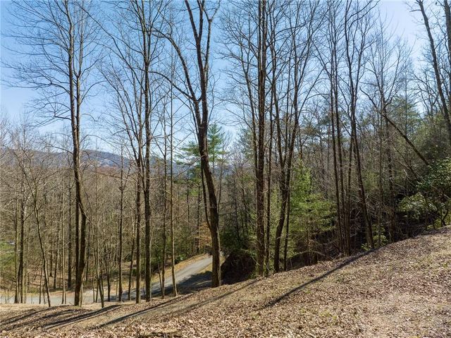 0 Chicasaw Drive, Ellijay, GA 30540