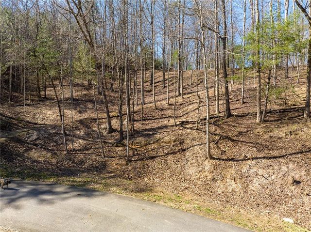 0 Chicasaw Drive, Ellijay, GA 30540