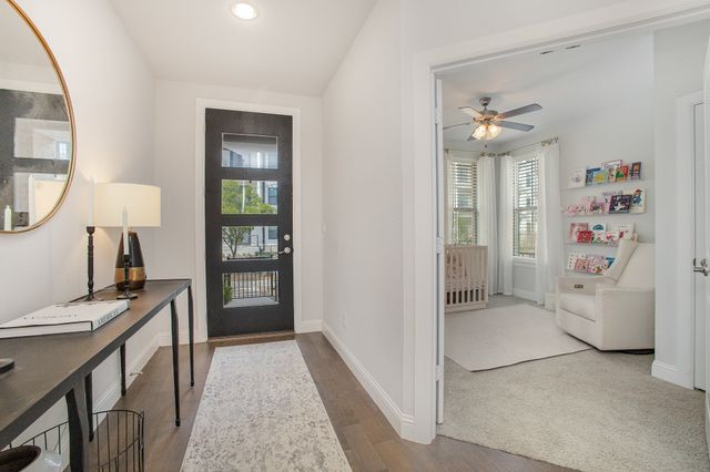 1117 Tea Olive Lane, Dallas, TX 75212