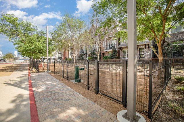 1117 Tea Olive Lane, Dallas, TX 75212