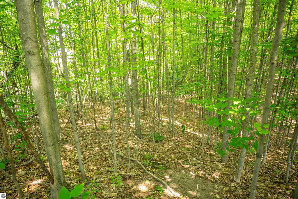 Image 26 of property listing at 4885 Grayhawk Boulevard, Traverse City, MI 49684