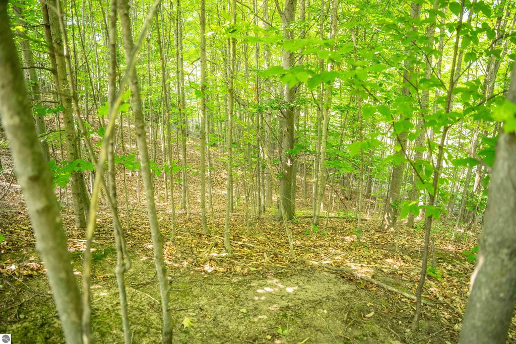 Image 37 of property listing at 4885 Grayhawk Boulevard, Traverse City, MI 49684