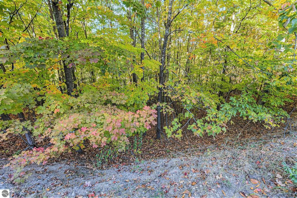 Image 43 of property listing at 4885 Grayhawk Boulevard, Traverse City, MI 49684