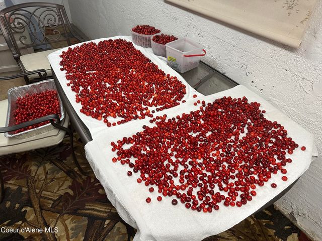 191 King St, Wallace, ID 83873