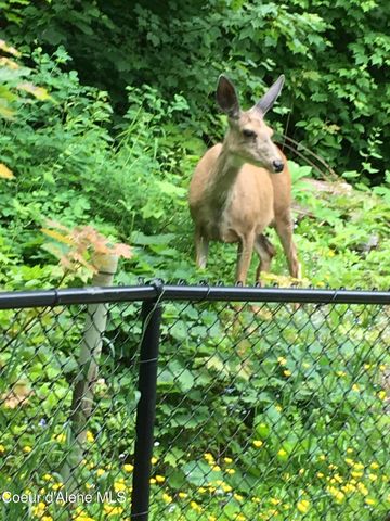 191 King St, Wallace, ID 83873