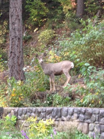 191 King St, Wallace, ID 83873