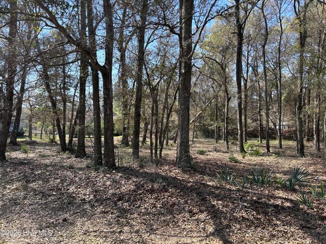 1951 Redfish Run SW, Supply, NC 28462
