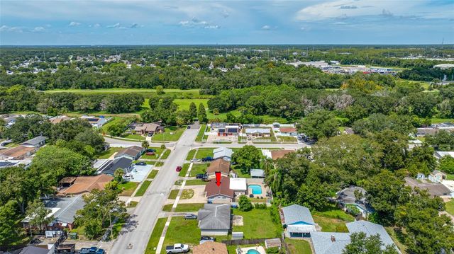 8339 DRYCREEK DRIVE, Tampa, FL 33615