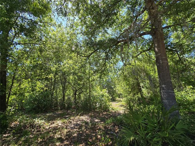 27137 MILLER ROAD, Dade City, FL 33525