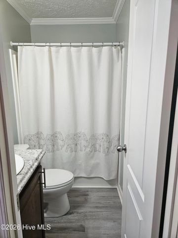 217 Dorcas Drive, Newport, NC 28570